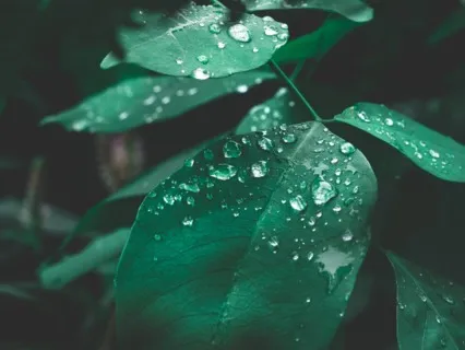 Gentle Rain Sounds For Mindful Listening
