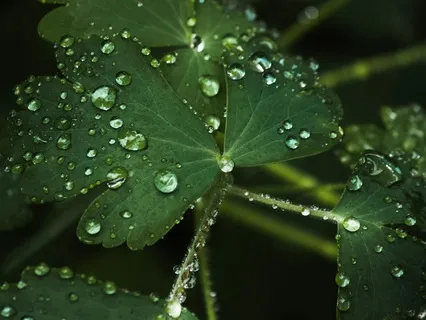 Gentle Rain Sounds For Sleep, Tinnitus Relief, & Anxiety