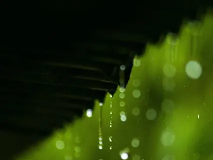 Gentle Rain Sounds to Help You Sleep 8 Hours