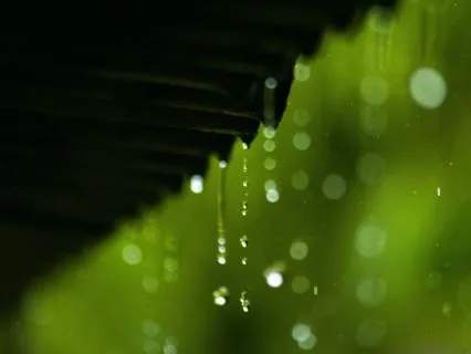 Gentle Rain Sounds to Help You Sleep