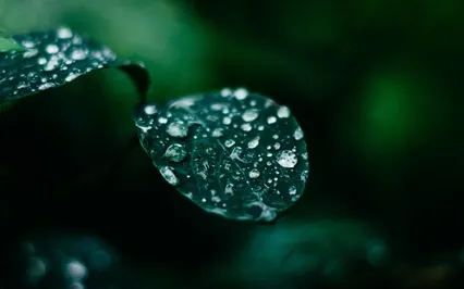 Gentle Rain With Soothing Melody