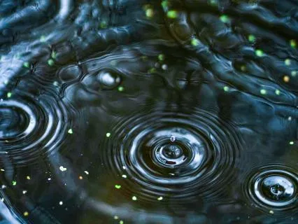 Gentle Rain