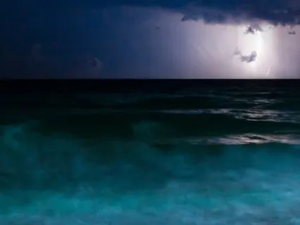 Gentle Rainfall Sleep Music