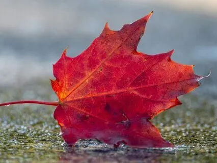 Gentle Rainy Clouds For Sleep & Emotional Release Meditation