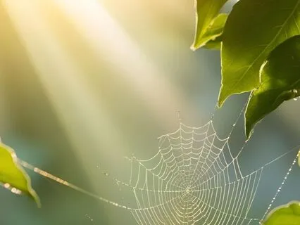 Gentle Ray Of Sunshine