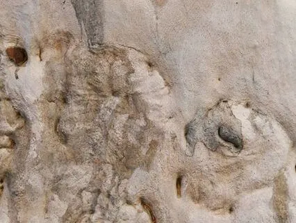 Gentle Rebellion: Loosening The Grip Of Perfectionism