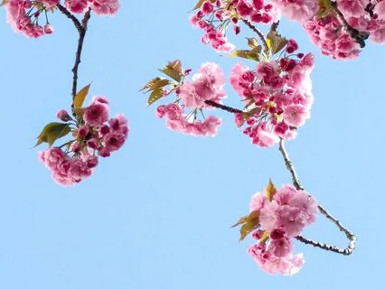 Gentle Refreshing Energy Meditation