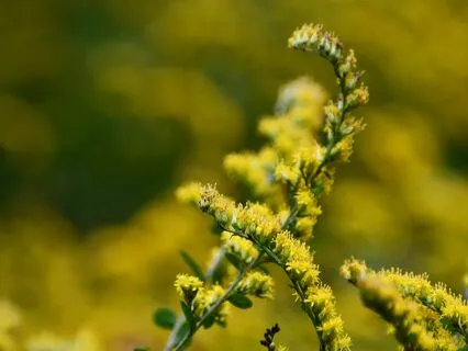 Gentle, Relaxing Piano Music