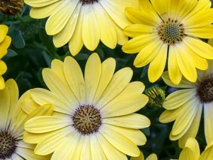 Gentle Relief From Anxiety — Soothing Music For A Calm Mind