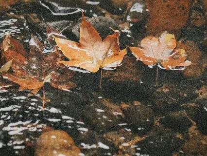 Gentle Reset: Relief Anxiety In 15 Minutes