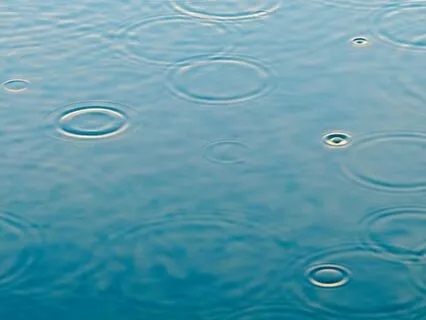 Gentle Ripples, Quiet Dreams