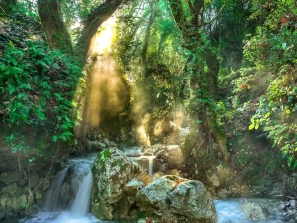 Gentle River Stream (Soothing Nature Sounds)