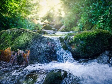 Gentle River With Nature Sounds