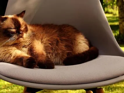 Gentle Rocking Chair Meditation