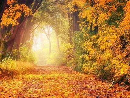 Gentle Sanctuary Music For Relaxation