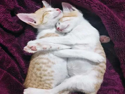 Gentle Self-Compassion ~ 8 Hour Deep Sleep