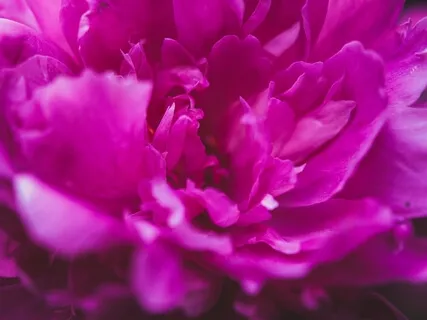 Gentle Self Love Affirmations