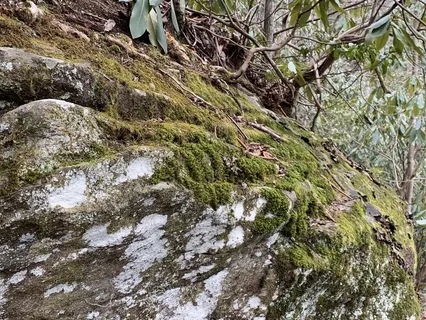 Gentle Self-Massage For Relaxation