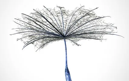 Gentle Singing Bowls & Chimes For Deep Peace (Music Only)