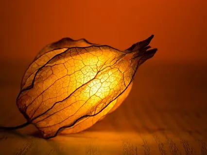 Proven Sleep Soundscape To Soothe, Protect, And Restore