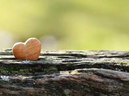 Somatic Loving Kindness For Emotional Healing