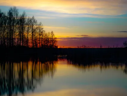 Gentle Song Of Reality