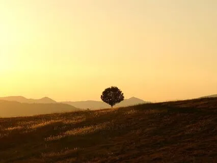 Tranquil Love - Theta Waves