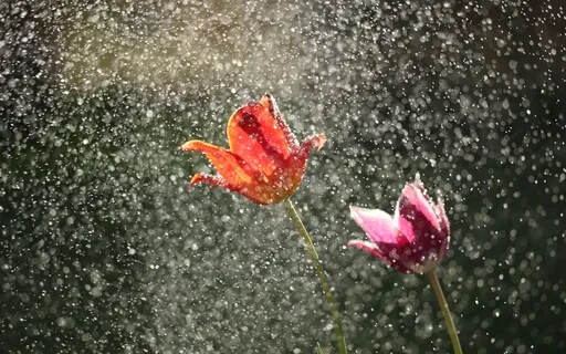 Gentle Spring Rain Sounds Leaves & Puddles