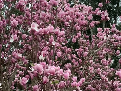 Gentle Standing Mindful Movement