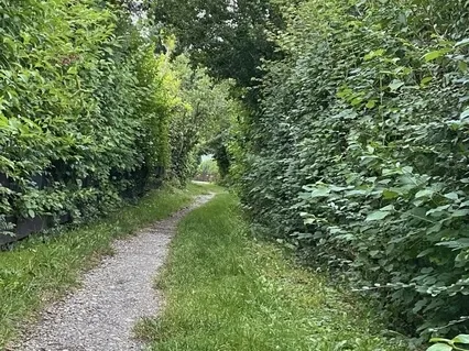 Gentle Standing Yoga Practice For Anywhere & Anytime