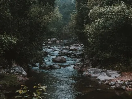 Gentle Stream