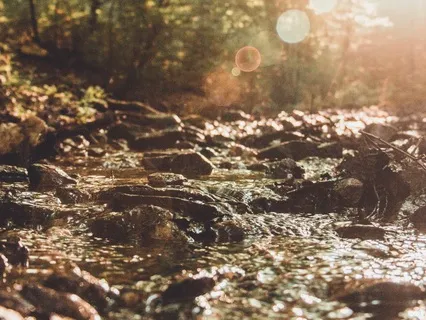 Gentle Stream Flowing