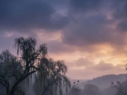 Gentle Stream for Baby Sleep