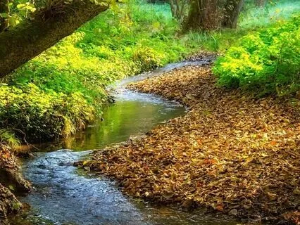 Gentle Stream Sounds For Good Night Sleep