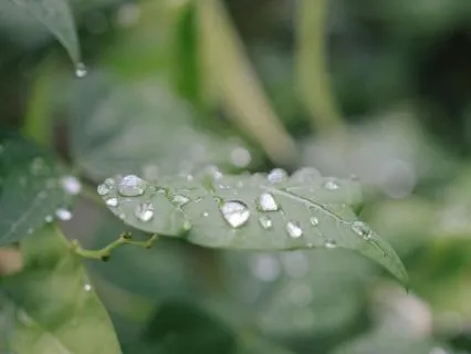 Gentle Summer Rain (8 Hours For A Peaceful Night Of Rest)