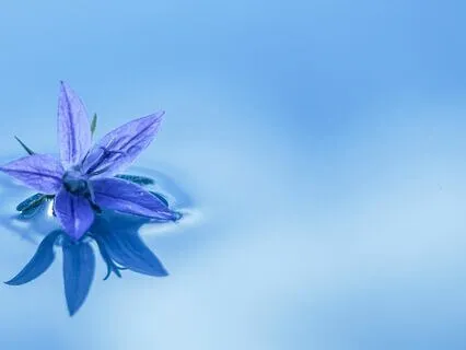 Gentle Three Step Pause With Music