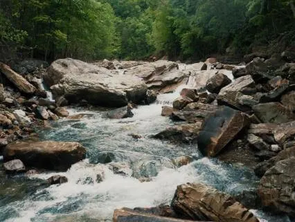 Gentle Waterfall Sounds And Ambient Music
