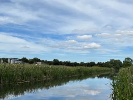Gentle Waters Of Self Compassion With Pisces Energy | Voice
