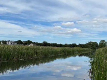 Gentle Waters Of Self Compassion With Pisces Energy