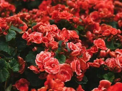 Gentle Waves Of Healing Meditation For Menstrual Well-Being