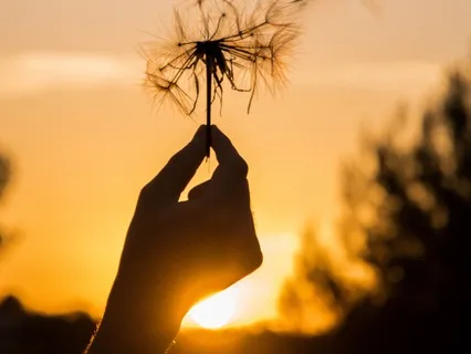 Gentle Whispers Of Silence