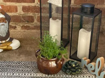 Gentle Yin Yoga - Land In The Body And Rest