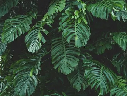 Gentle Yoga For Your Busy Day- Short TCTSY Practice