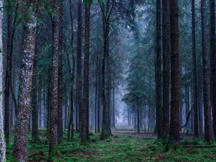 Gentle Yoga Nidra For Deep Rest