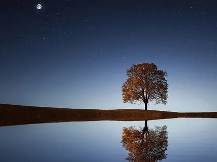 Gentle Relaxation To Let Go Of Your Day Before Sleep