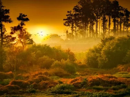 Gentleness & Patience In 432Hz  