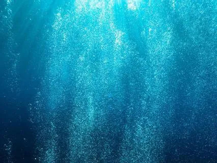 Gently Float To The Surface And Awaken With Celestial Harp