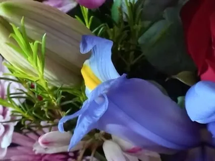 Gently Immerse Into Deep Restorative Rest: Tone Therapy