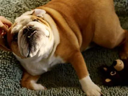 Gently Release The Day