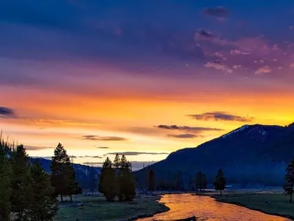 Gently Serene Music For Focus